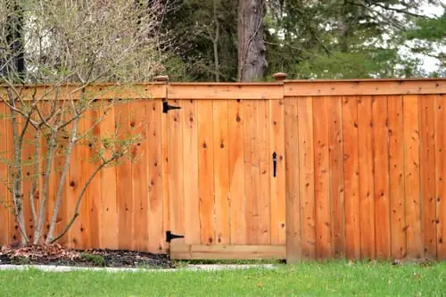 Fence Building