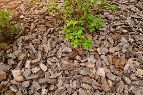 Mulch & Bark Installation