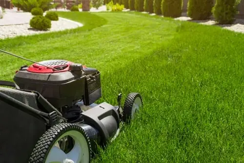 Yard Maintenance